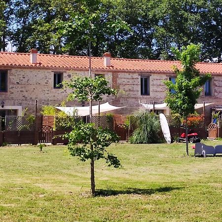 Les appartements du Mas Riols Saint-Cyprien  Extérieur photo