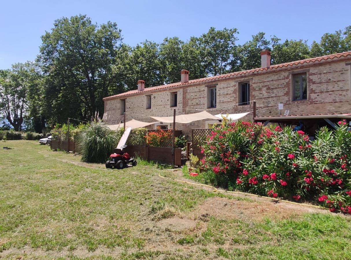 Les appartements du Mas Riols Saint-Cyprien  Extérieur photo